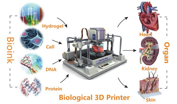 3D