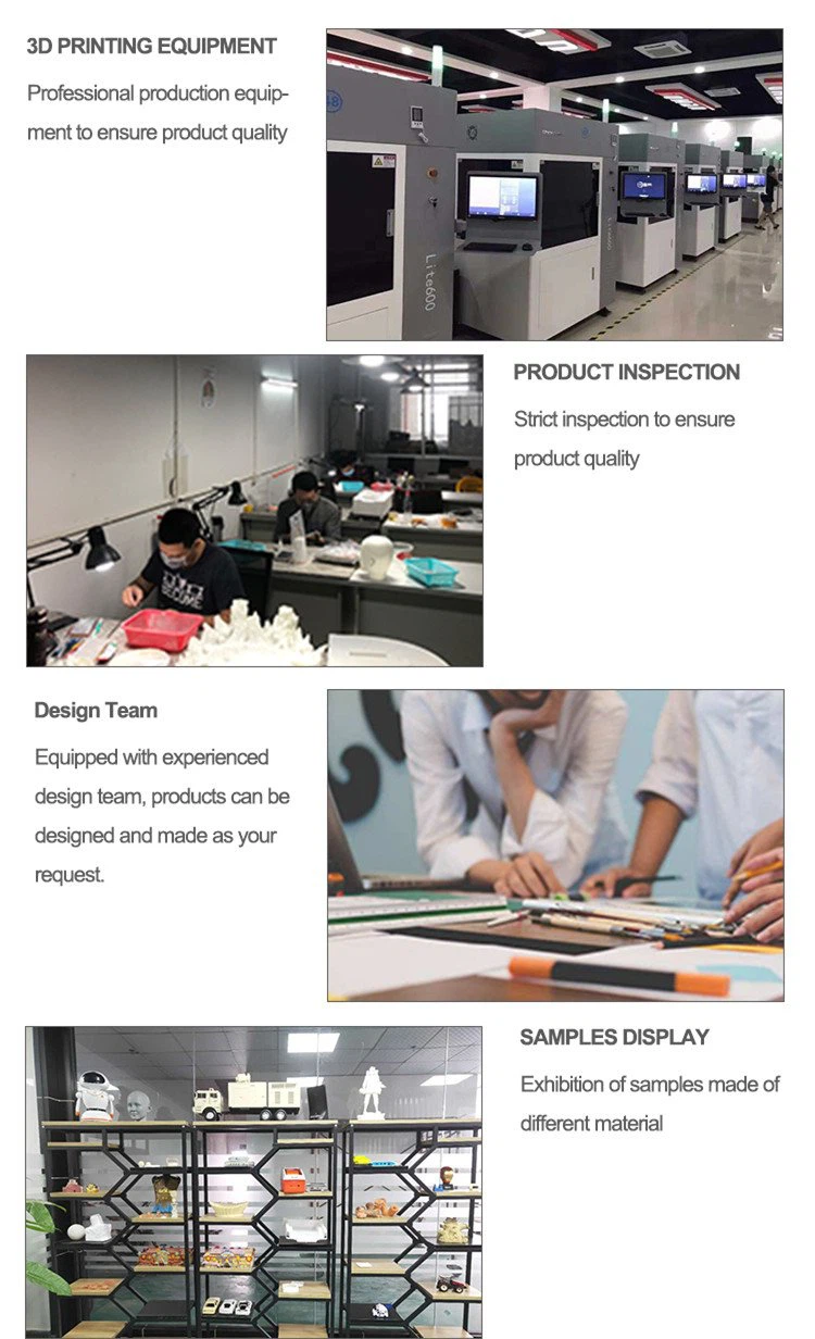Company Profile